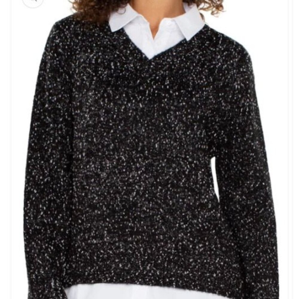 Sadie & Sage Womens Black & White Acrylic Sweater V neck size small‎